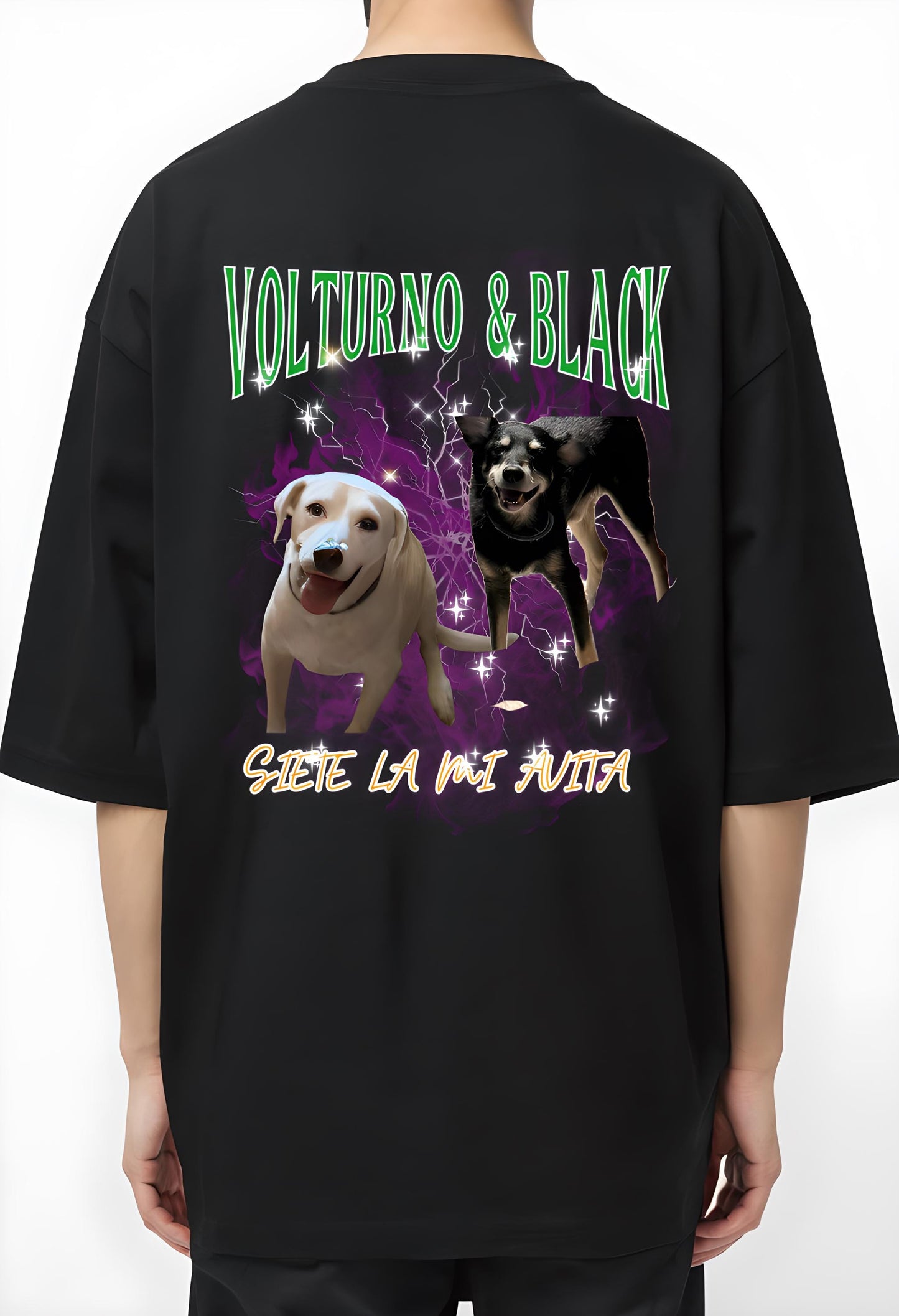 Stylish Pet Lover T Shirt Unique Dog Tee Gift For Animal Lovers Casual Unisex Top Birthday Present Everyday Comfort Outfit Funny Dog Graphic