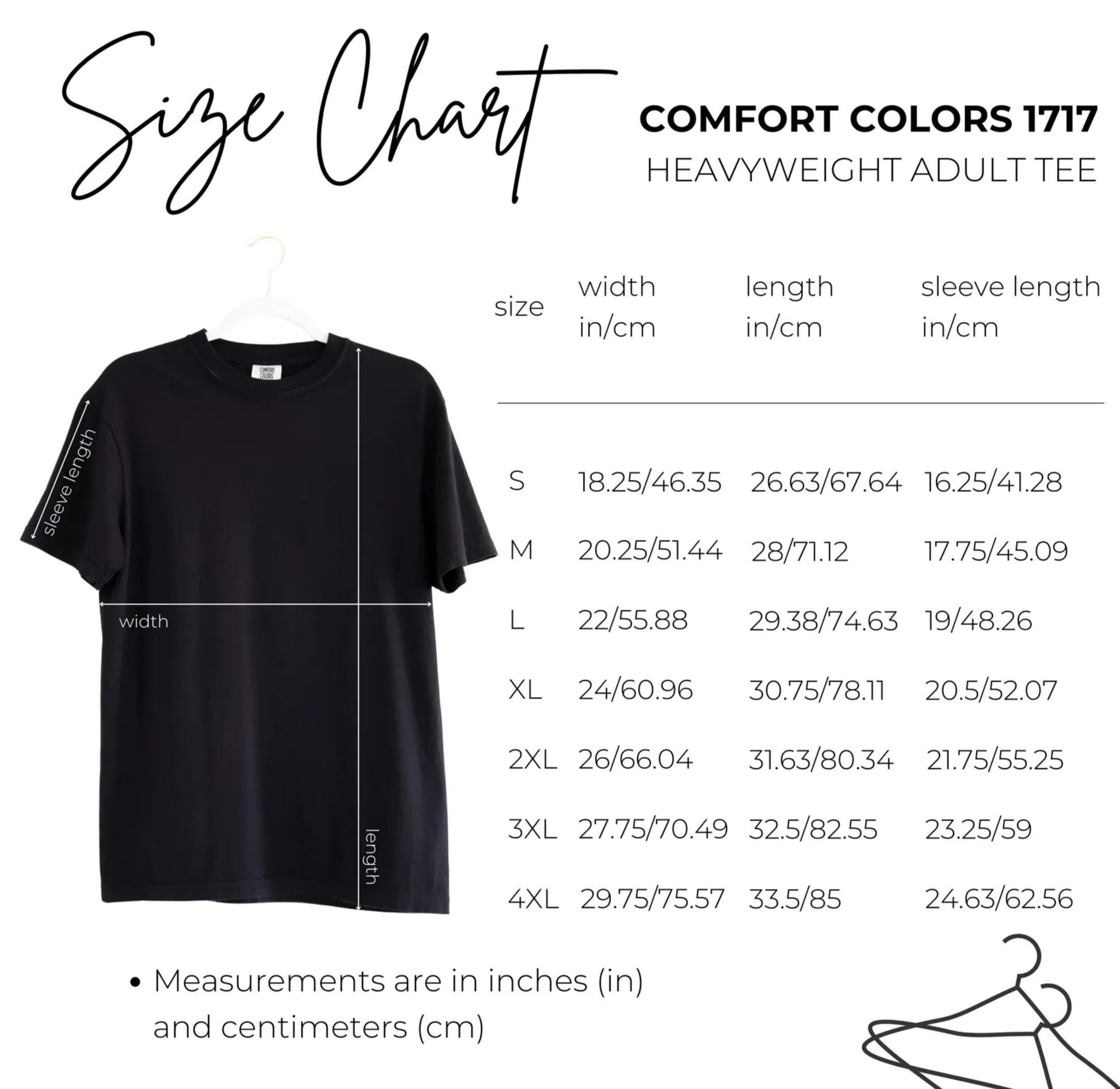 train lovers graphic tee with derail me gently quote, unisex soft t-shirt featuring vintage locomotive art and retro sarcastic humor