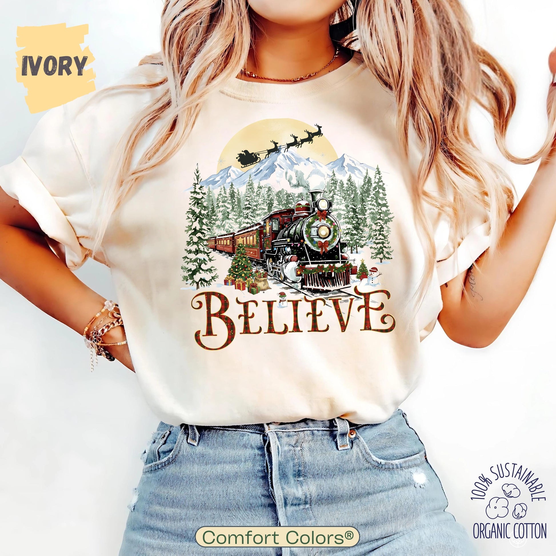 Polar Express T-shirt, Believe in Christmas Sweatshirt, Holiday Gift Ideas, All Aboard Hoodie Xmas, Merry Christmas Tee