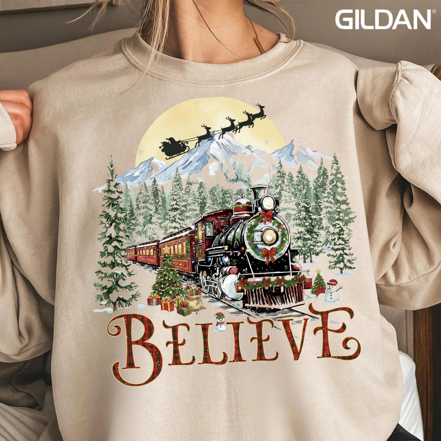 Polar Express Sweatshirt, Christmas Gift, Christmas Believe Sweater, Merry Christmas, Gift Ideas, All Aboard Polar Express, Hoodie Xmas