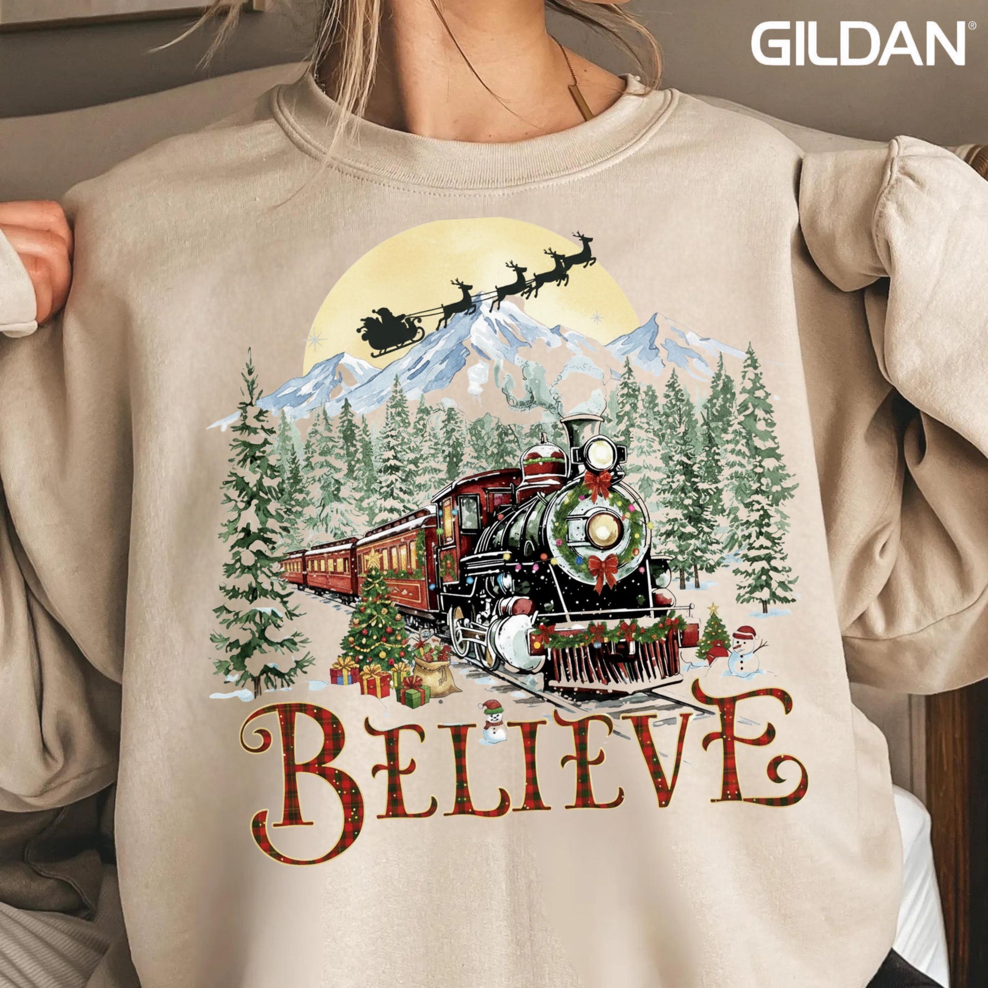 Polar Express Sweatshirt, Christmas Gift, Christmas Believe Sweater, Merry Christmas, Gift Ideas, All Aboard Polar Express, Hoodie Xmas