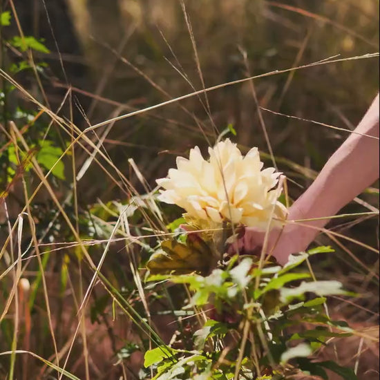 Custom Girlfriend Wash Shirt, Boyfriend Wash Shirt, Bachelorette Surprise, Personalized Birthday Bootleg Gift, Dog Shirt, Bachelor Party